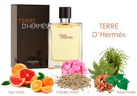 hermes terre d'hermes ingredients.